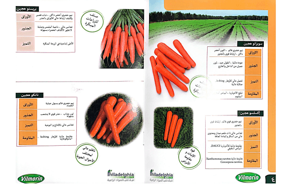 أنظمة الري الذكية