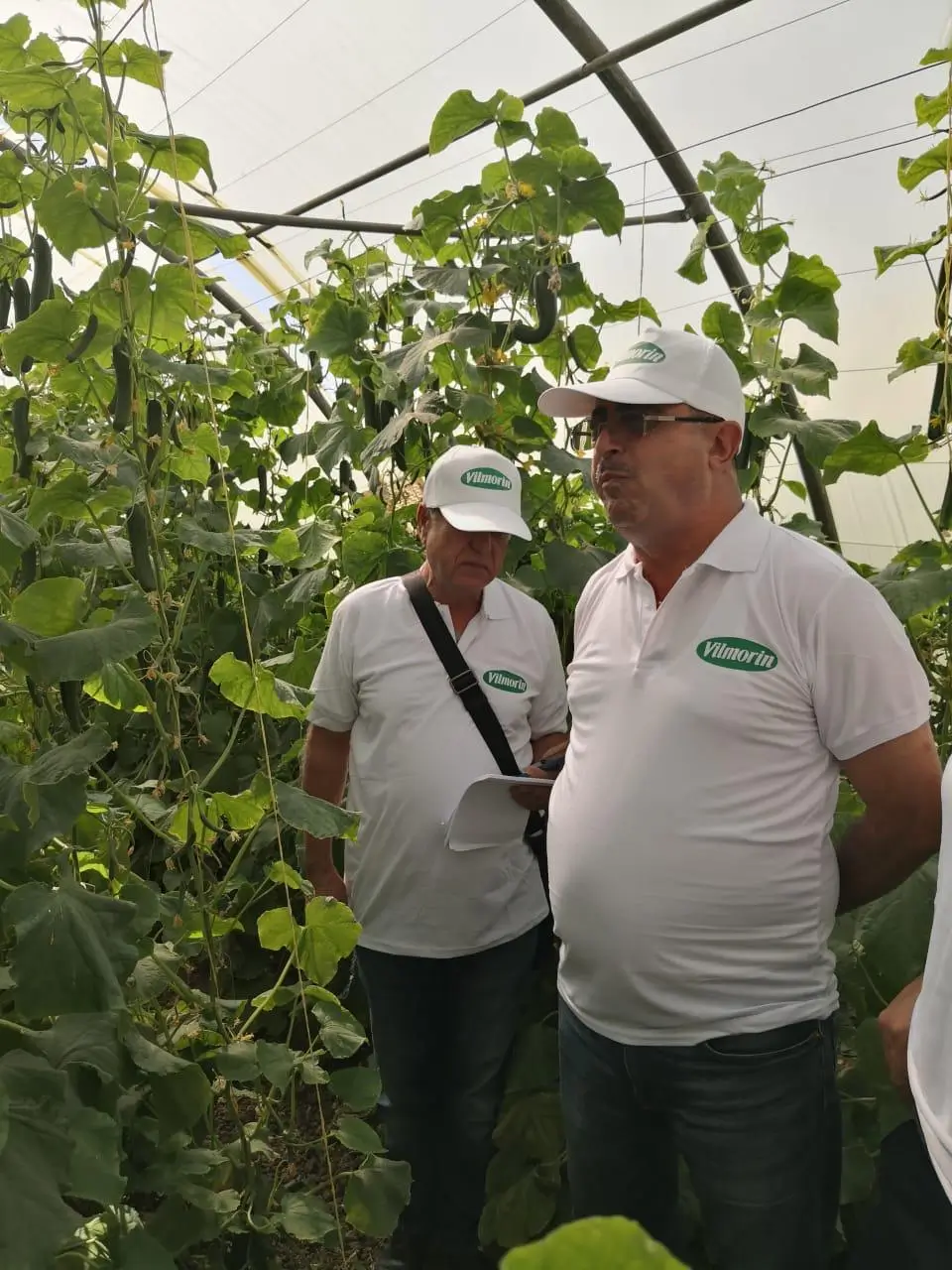 Expert Agricultural Guidance